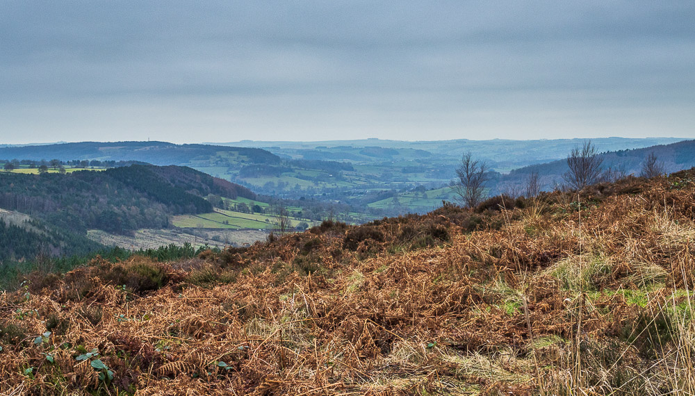 Wye Valley